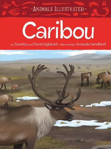 Cover image for Animals Illustrated: Caribou