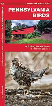 Cover image for Pennsylvania Birds: A Folding Pocket Guide to Familiar Species