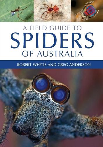 Cover image for A Field Guide to Spiders of Australia