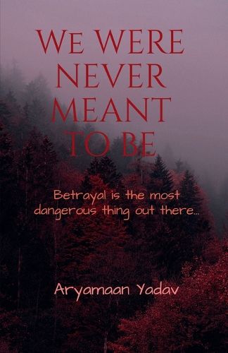 Cover image for We Were Never Meant to Be