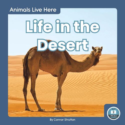 Cover image for Animals Live Here: Life in the Desert