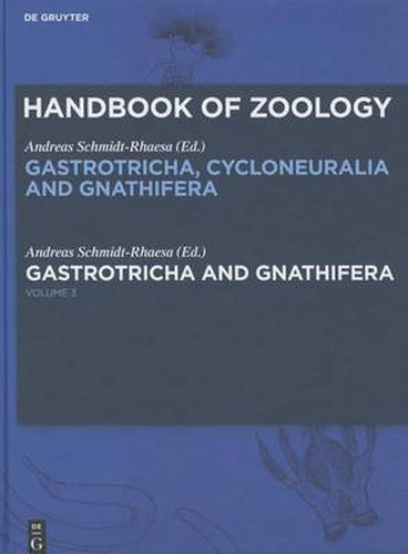 Gastrotricha and Gnathifera