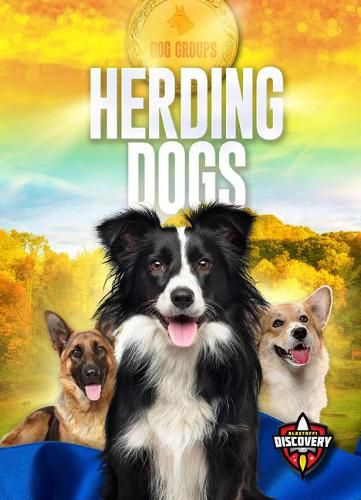 Cover image for Herding Dogs