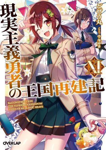 How a Realist Hero Rebuilt the Kingdom (Light Novel) Vol. 11