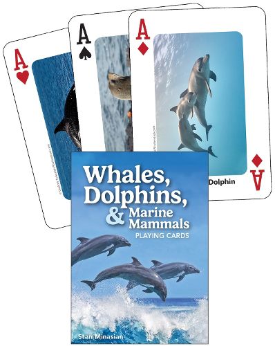 Cover image for Whales, Dolphins, and Marine Mammals Playing Cards