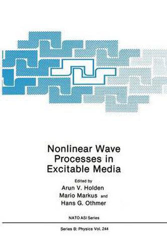 Cover image for Nonlinear Wave Processes in Excitable Media