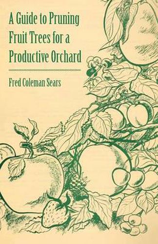 Cover image for A Guide to Pruning Fruit Trees for a Productive Orchard