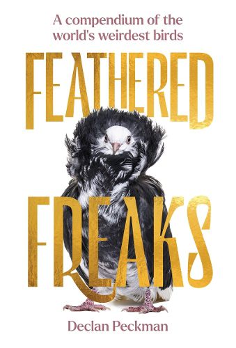 Cover image for Feathered Freaks