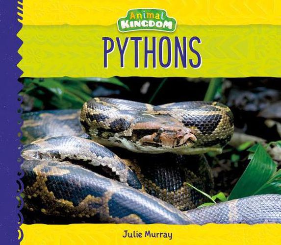 Cover image for Pythons