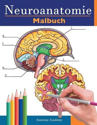 Cover image for Neuroanatomie Malbuch: Detailliertes Malbuch zum Selbsttest des menschlichen Gehirns fur die Neurowissenschaften Perfektes Geschenk fur Medizinstudenten, Pfleger, AErzte und Erwachsene