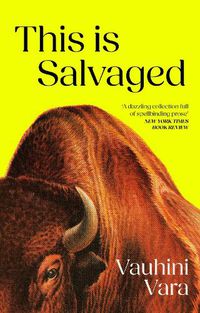 Cover image for This is Salvaged