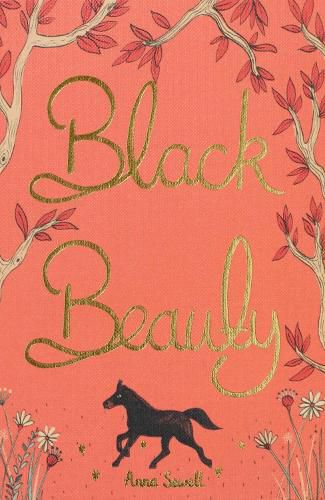 Cover image for Black Beauty