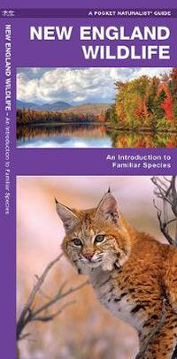 Cover image for New England Wildlife: A Folding Pocket Guide to Familiar Species