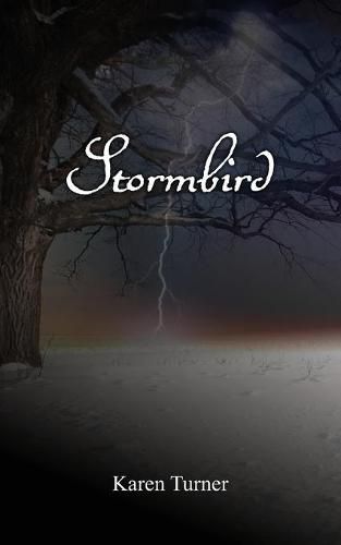 Cover image for Stormbird