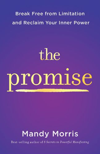 Cover image for The Promise