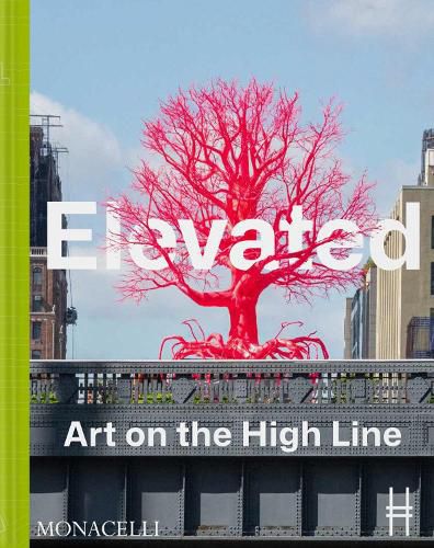 Cover image for Elevated