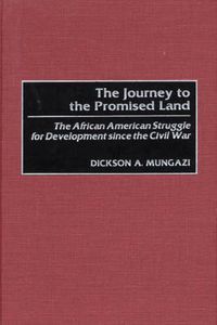 Cover image for The Journey to the Promised Land: The African American Struggle for Development since the Civil War