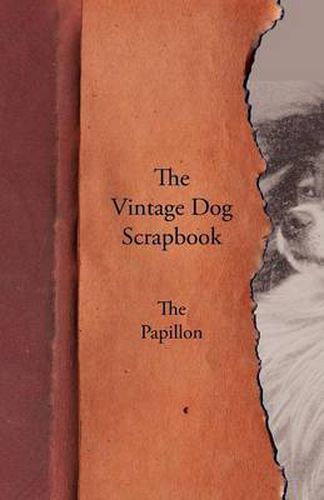 Cover image for The Vintage Dog Scrapbook - The Papillon