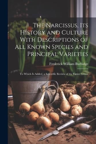 Cover image for The Narcissus, Its History and Culture With Descriptions of All Known Species and Principal Varieties