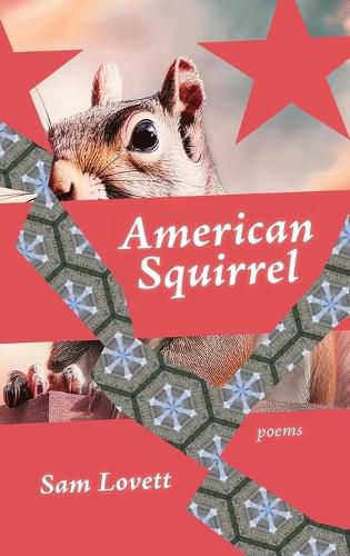 Cover image for American Squirrel