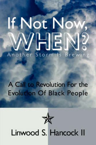 Cover image for If Not Now, When? Another Storm Is Brewing