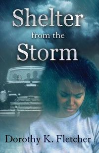 Cover image for Shelter From The Storm