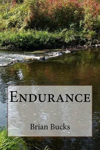 Cover image for Endurance