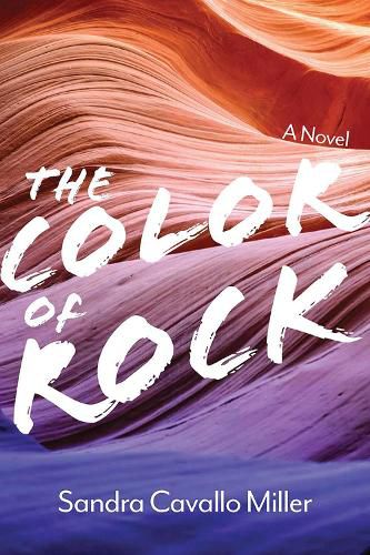 Cover image for The Color of Rock: A Novel