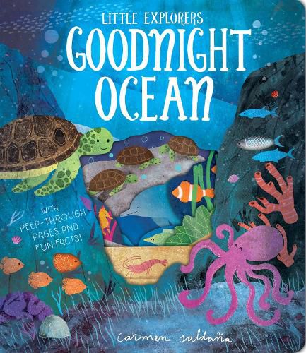 Cover image for Goodnight Ocean