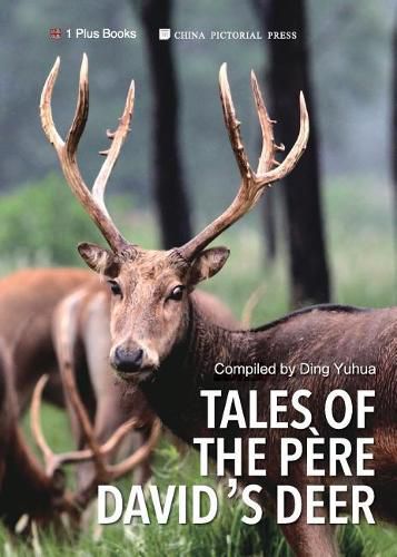 Cover image for Tales of the Pere David's Deer