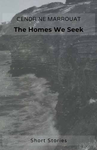 Cover image for The Homes We Seek