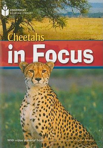 Cover image for Cheetah Chase: Footprint Reading Library 6