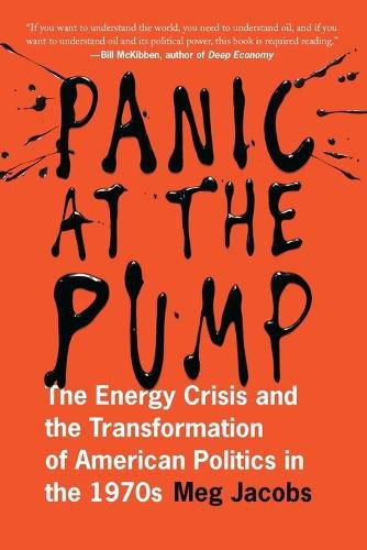 Cover image for Panic at the Pump: The Energy Crisis and the Transformation of American Politics in the 1970s
