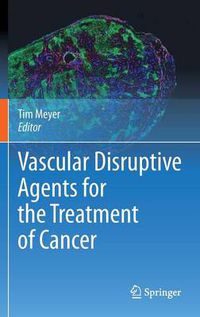 Cover image for Vascular Disruptive Agents for the Treatment of Cancer