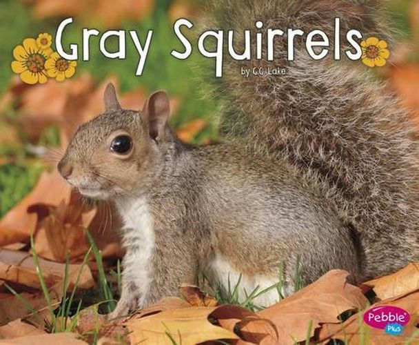 Cover image for Gray Squirrels