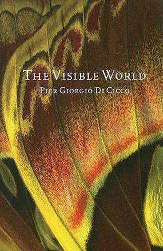 Cover image for The Visible World