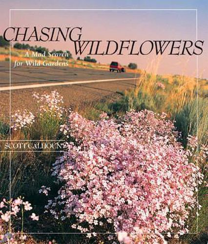 Cover image for Chasing Wildflowers: A Mad Search for Wild Gardens