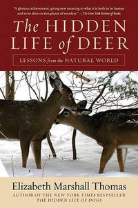 Cover image for Hidden Life of Deer