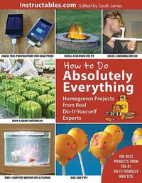 Cover image for How to Do Absolutely Everything: Homegrown Projects from Real Do-It-Yourself Experts