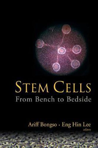 Cover image for Stem Cells: From Bench To Bedside