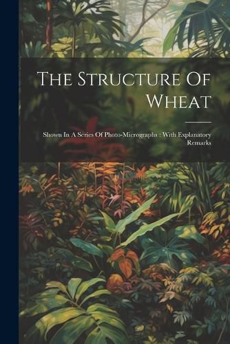 Cover image for The Structure Of Wheat