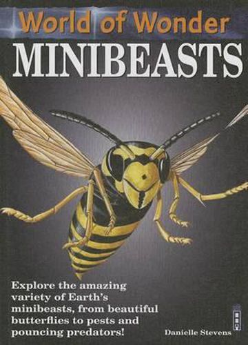 Minibeasts