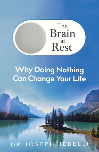 Cover image for The Brain at Rest