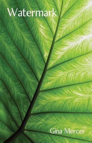 Cover image for Watermark