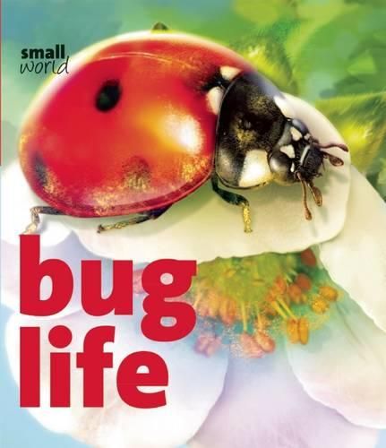 Cover image for Bug Life