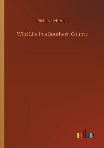 Cover image for Wild Life in a Southern County