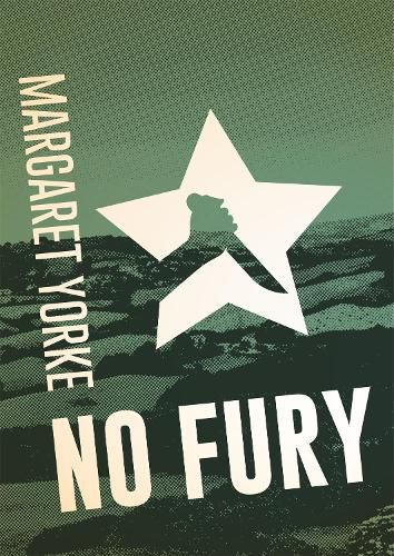 Cover image for No Fury