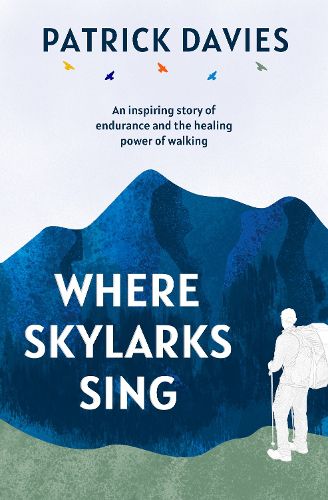 Cover image for Where Skylarks Sing