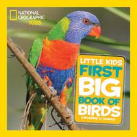 Cover image for Nat Geo Little Kids First Big Book Of Birds