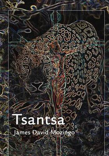 Cover image for Tsantsa